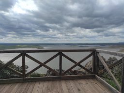 Flora del Cerro Masatrigo